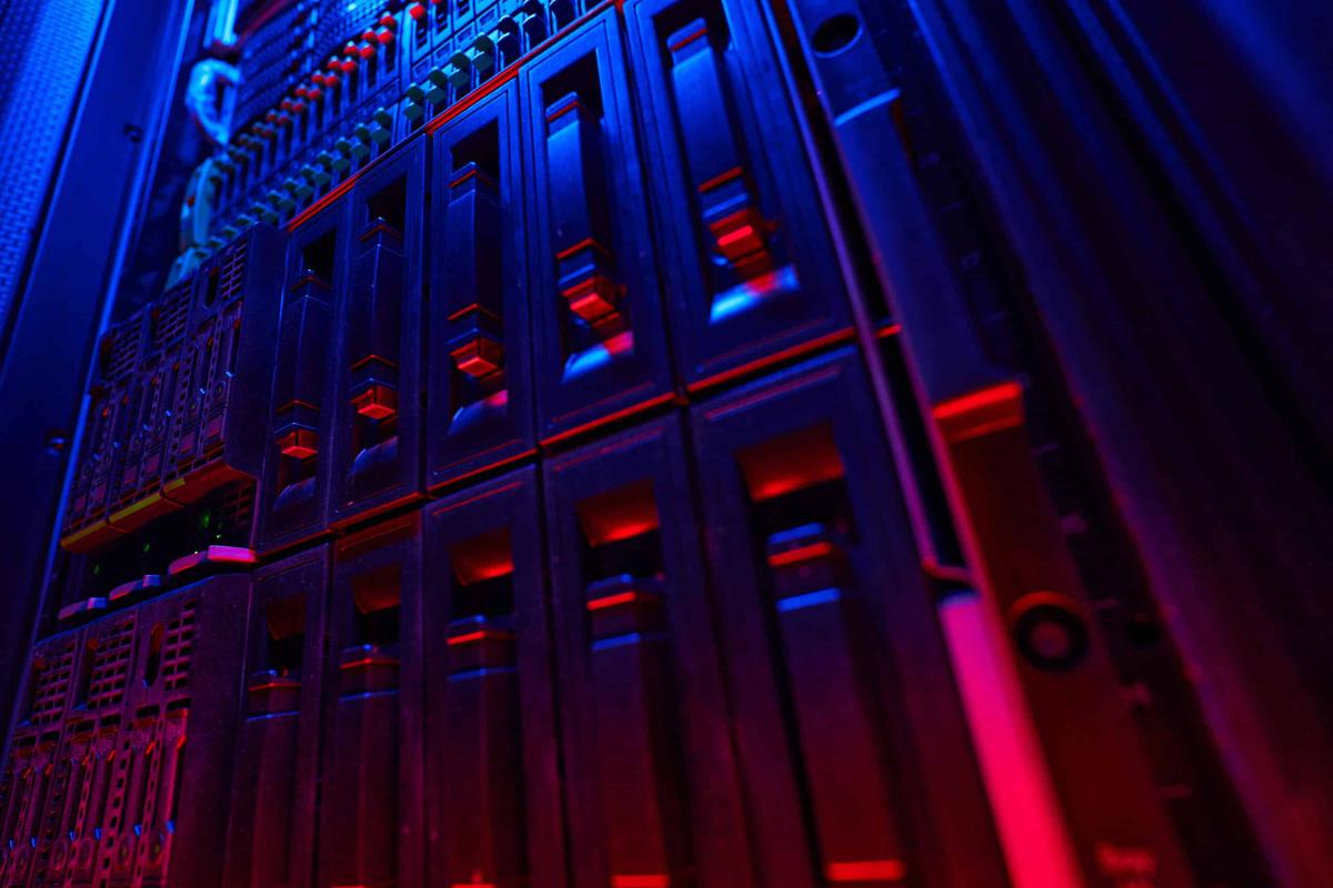 Why Is SQL So Popular for Database Management?